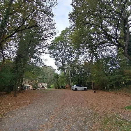 Du Botaniste Boissieres (Lot)