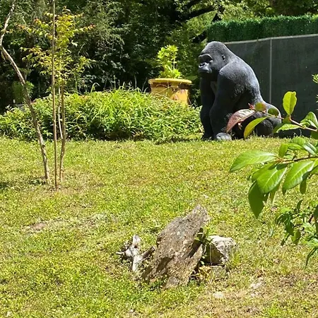 Du Botaniste * Boissieres (Lot)