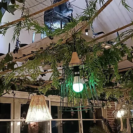 Du Botaniste * Boissieres (Lot)